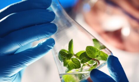 Biotechnology & Pharmaceutical Industry